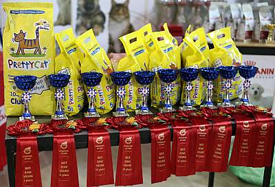 �������� ����� '���-�����-������' 22-23 ������ 2014 169A9072 copy.jpg